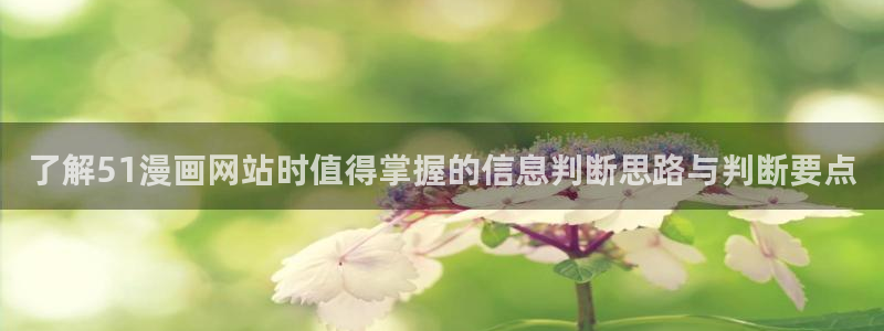 羞羞漫画连载作品:了解51漫画网站时值得掌握的信息判断思路与判断要点